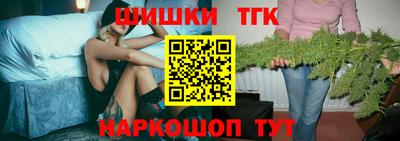МДПВ Кингисепп