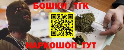 МДПВ Кингисепп