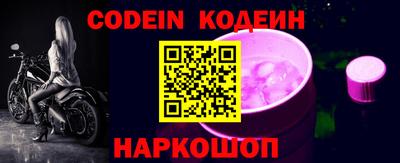 МДПВ Кингисепп