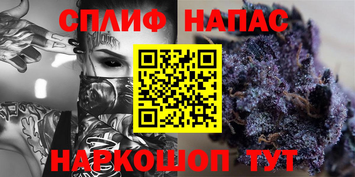 Конопля индика Кохма